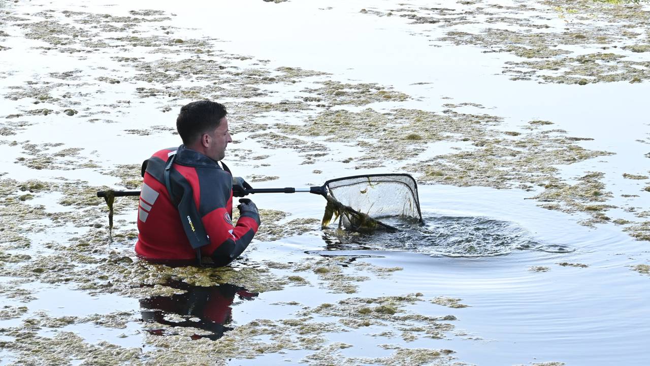 Foto: Perry Roovers / Persbureau Heitink