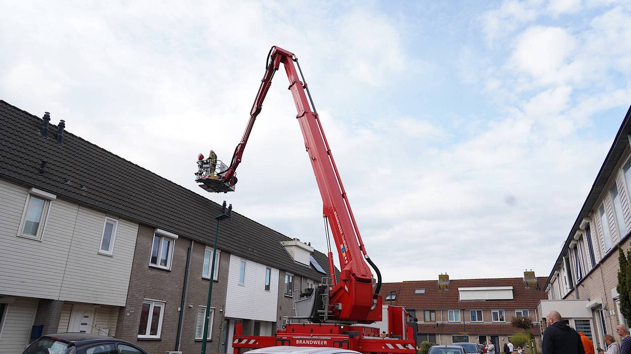 Foto: Jeroen Stuve/Persbureau Heitink.
