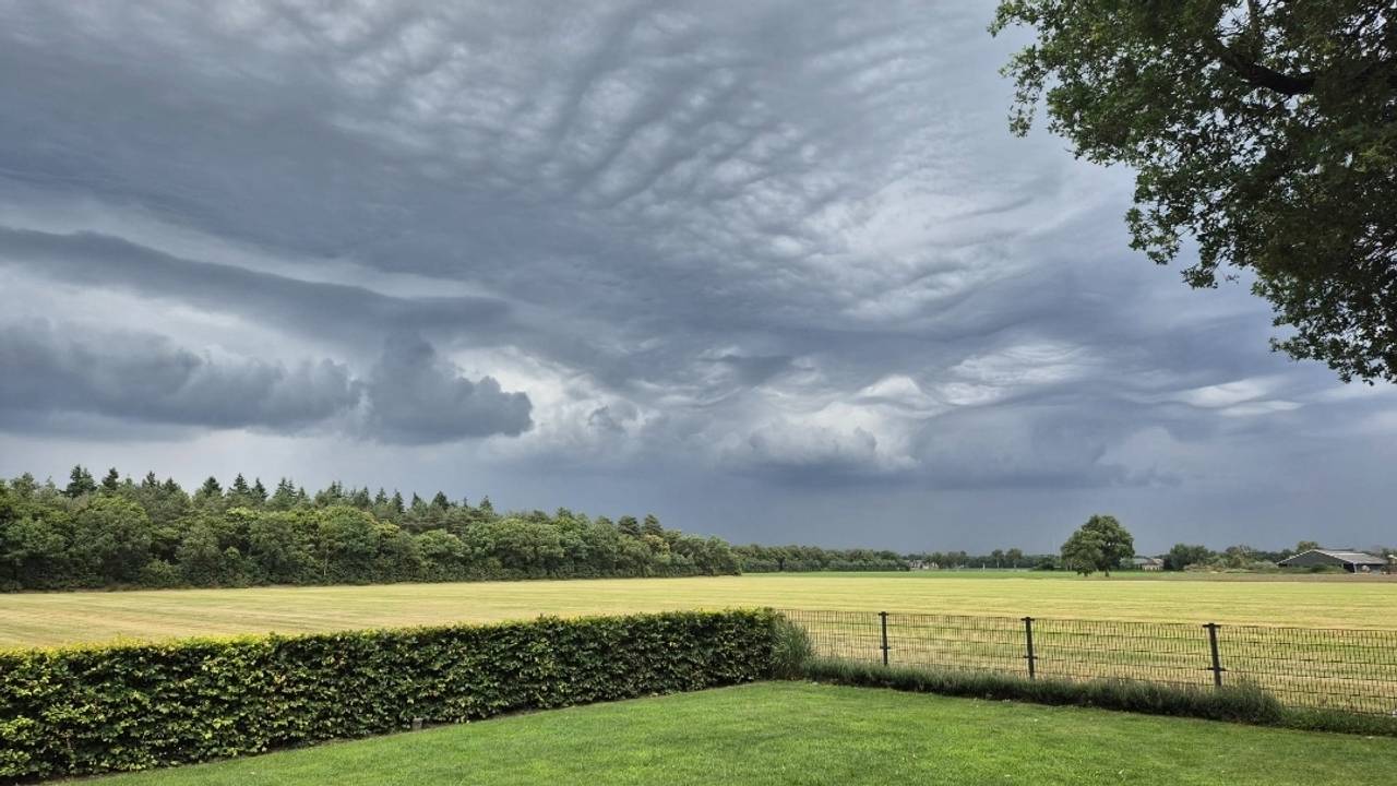 En dit is Odiliapeel, begint al ergens op te lijken (foto: Carlo Blom).