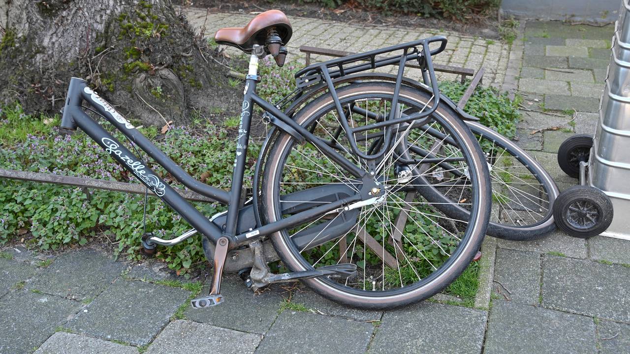 Foto: Perry Roovers/SQ Vision.