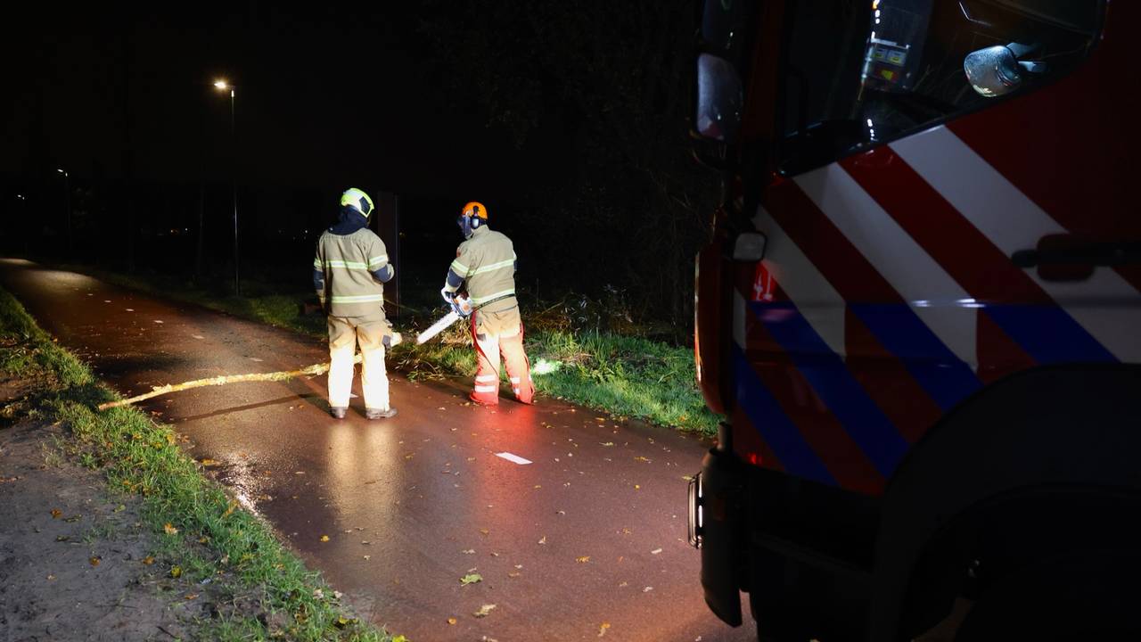 Foto: Sander van Gils/SQ Vision