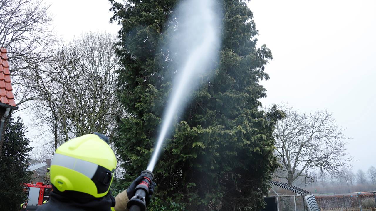 De brandweer dreef de kat uiteindelijk met een zachte waterstraal uit de boom (foto: SK-Media).
