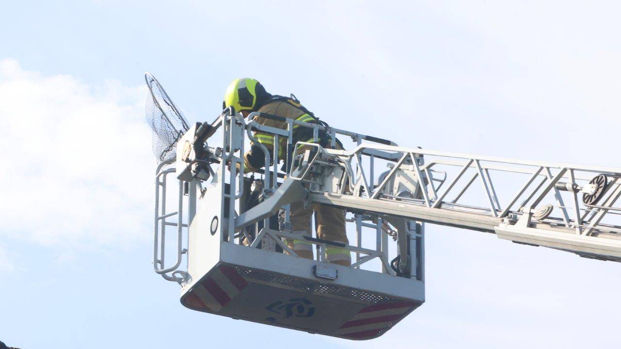 Foto: Bart Meesters / SQ Vision.