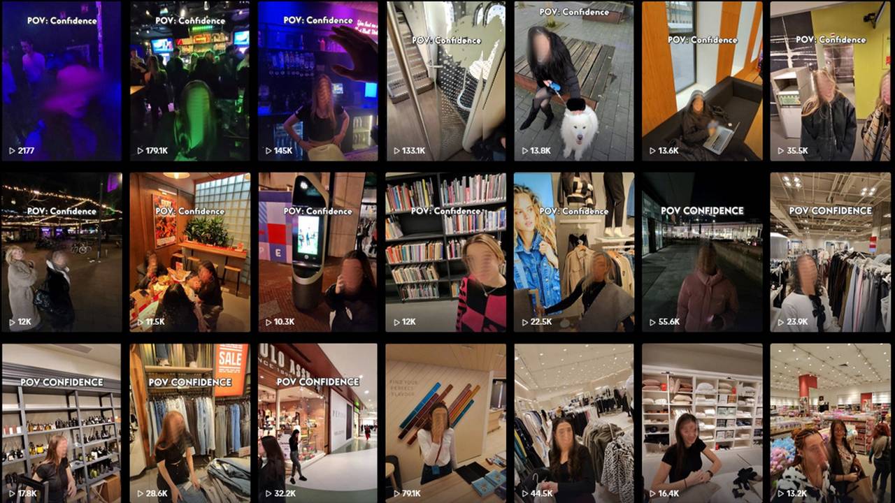 Het TikTok-kanaal van de man.