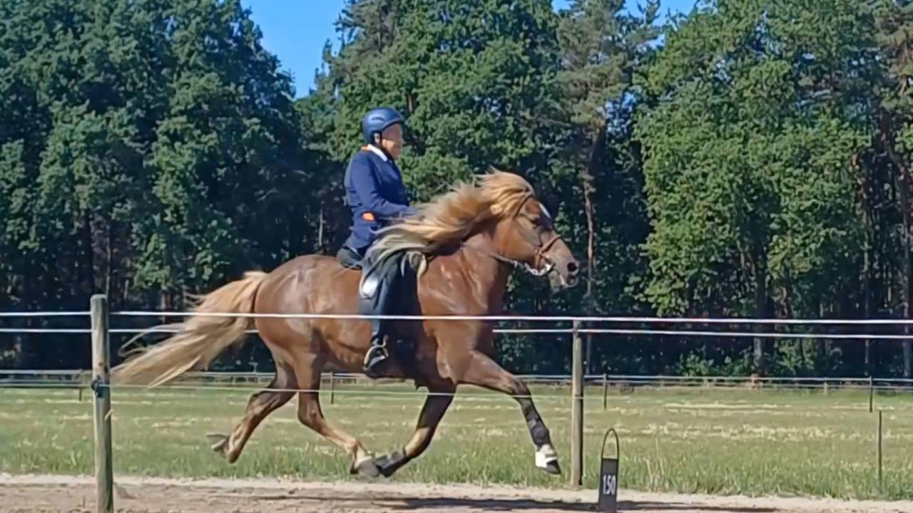 Cora en Remba tijdens het Nationaal Kampioenschap (foto: kleindochter Tiffany).