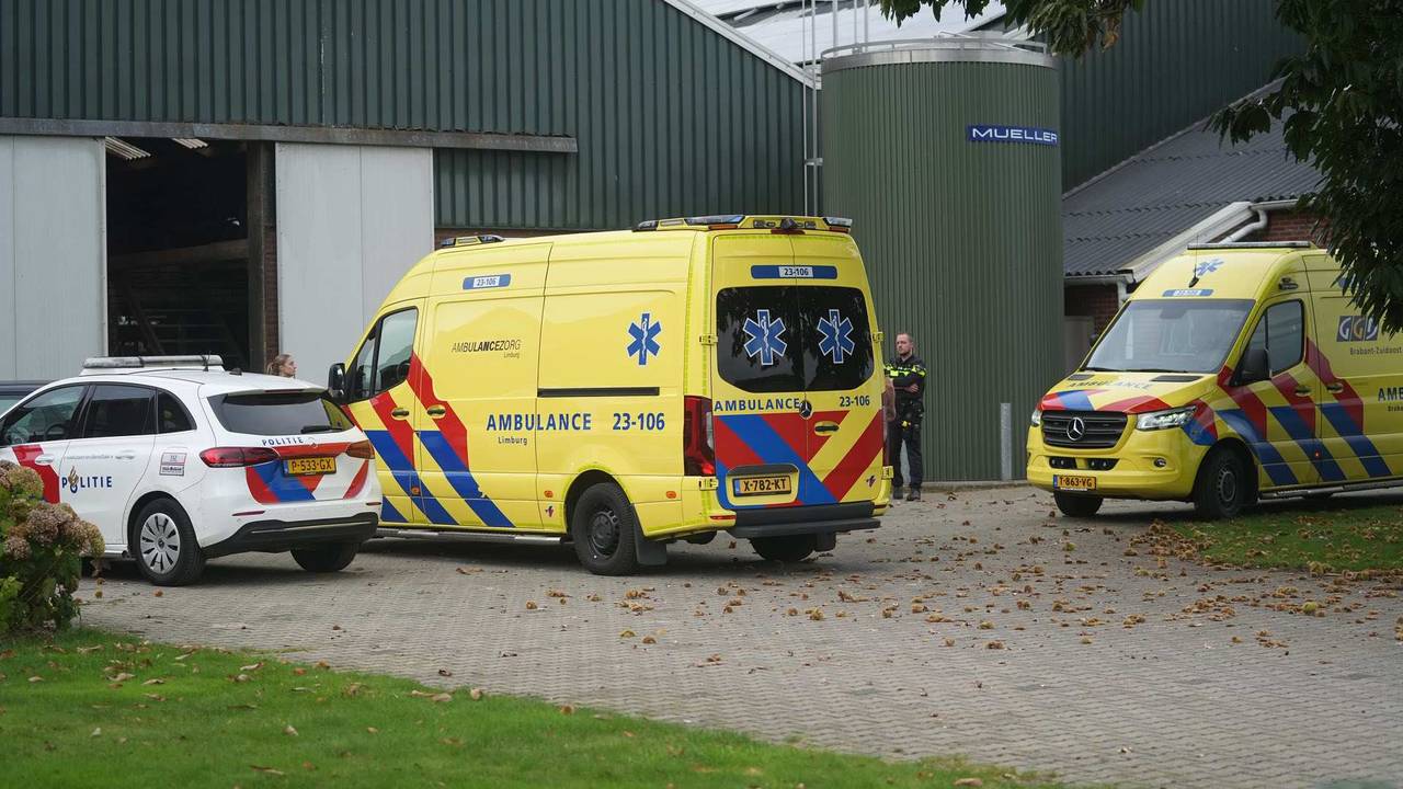 Foto: WdG / SQ Vision