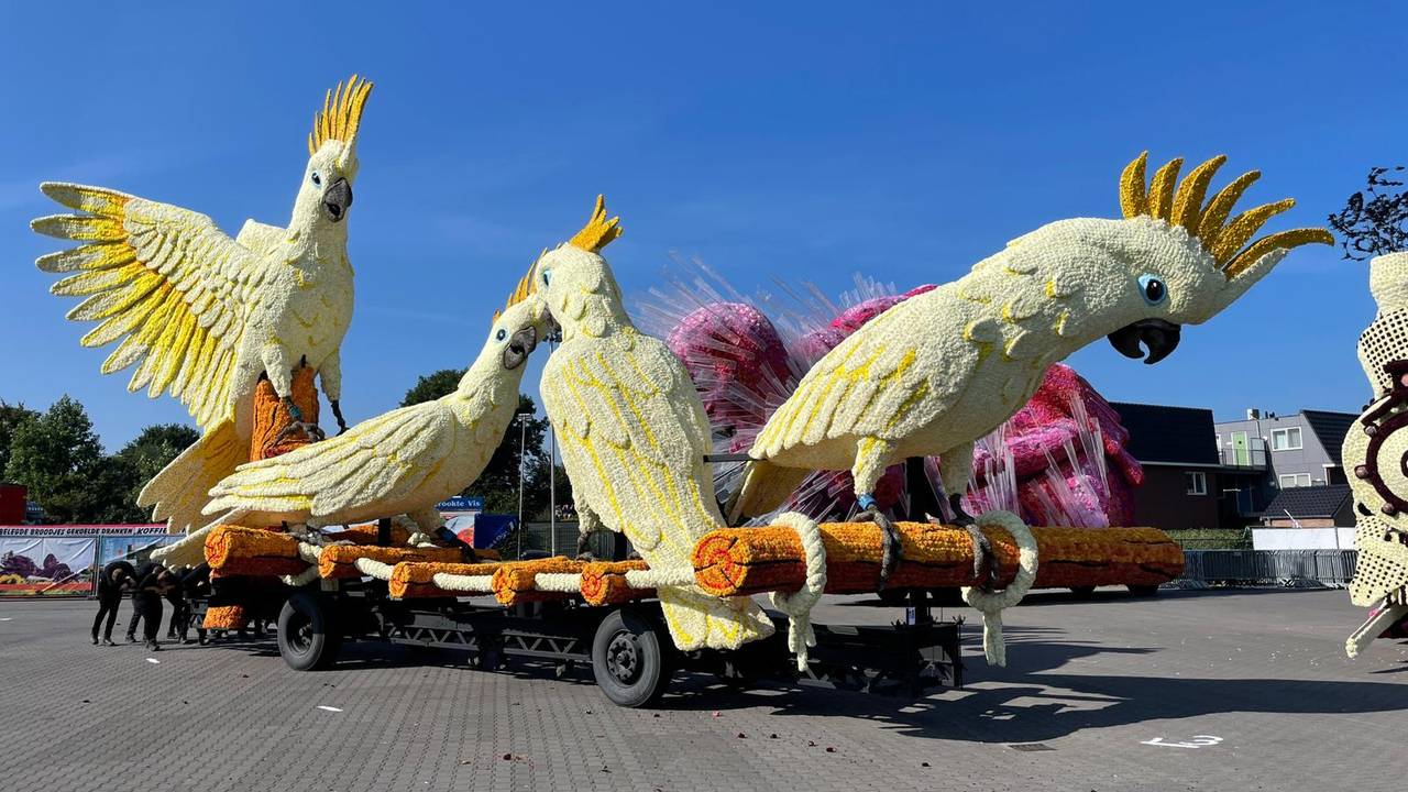Een corsowagen in Zundert (foto: Omroep Brabant).