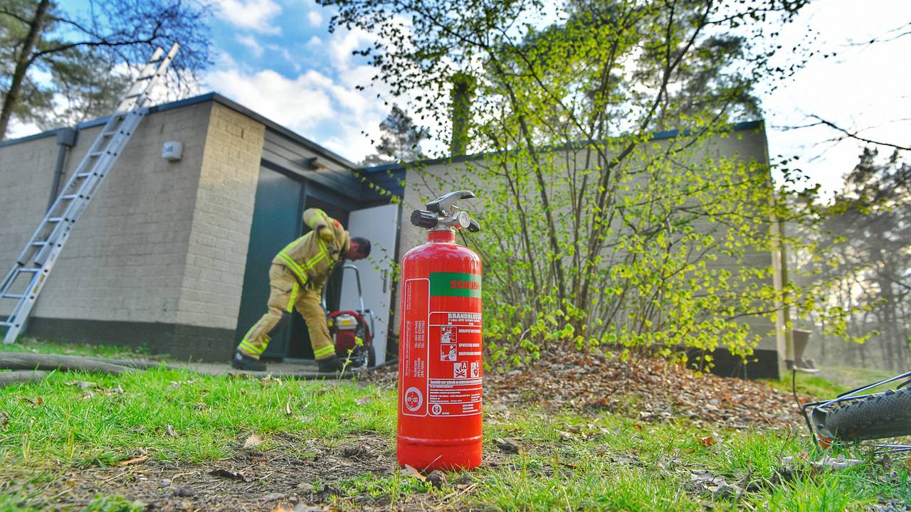 Foto: Rico Vogels / SQ Vision 