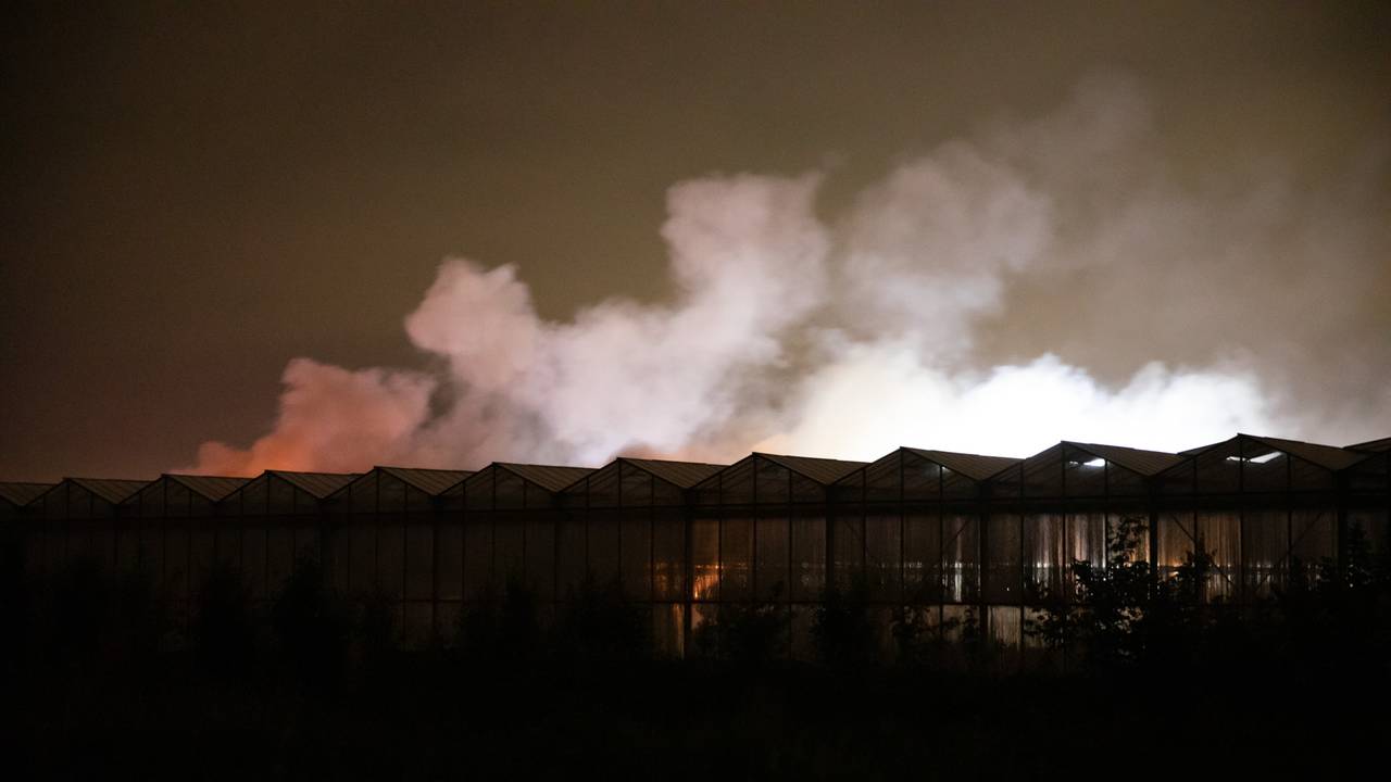 De rokende kassen (foto: Christian Traets/SQ Vision).