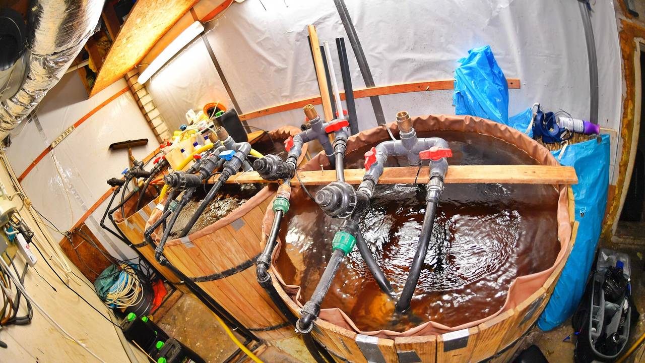 Foto: Rico Vogels/SQ Vision