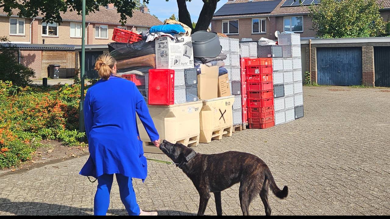 Items from the animal food bank were left on Shannon’s doorstep after rats contracted the plague