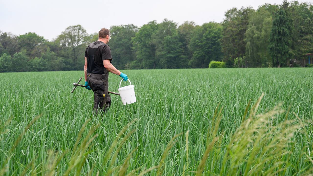 Foto: Tom van der Put / SQ Vision