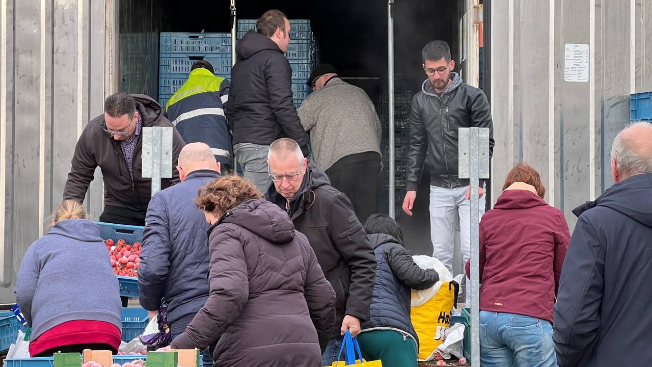 De tomaten moesten weg omdat de kweker 1 april weer aan de slag gaat en de container nodig heeft (foto: Zuidwest TV).