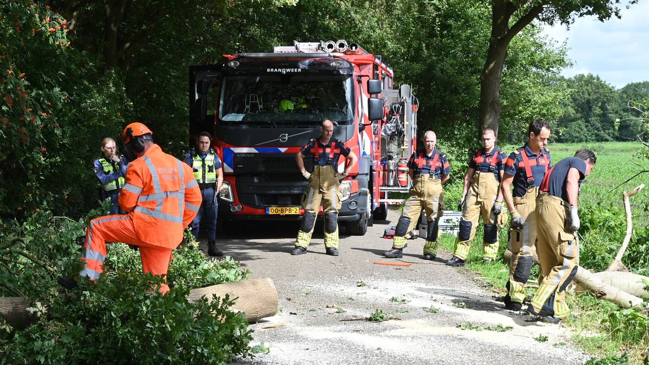 De brandweer zaagde de boom in stukken (foto: Perry Roovers/SQ Vision).