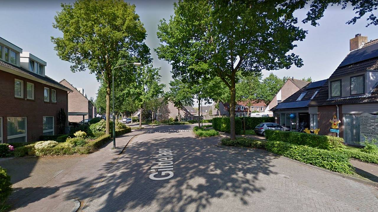 De Gildelaan in Hilvarenbeek (foto: Google Streetview)
