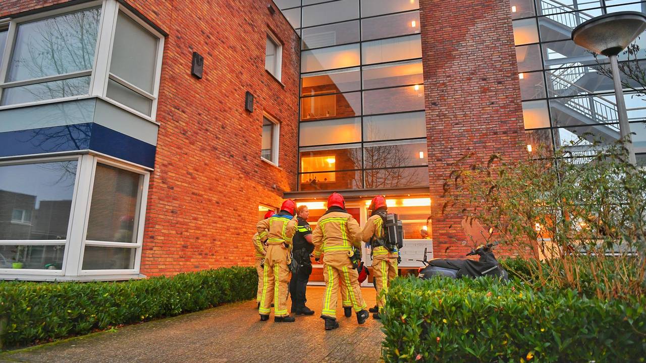 Foto: Rico Vogels/ SQ Vision