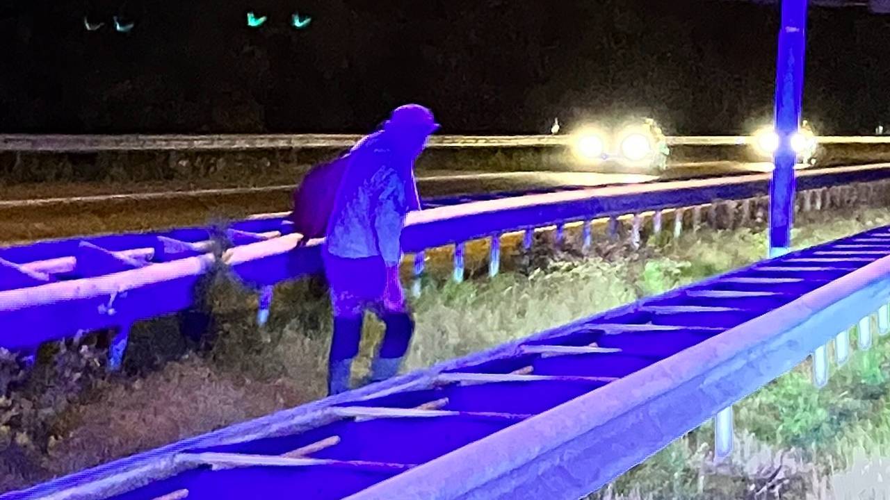 Foto: Weginspecteur Robert, via X - voorheen Twitter.