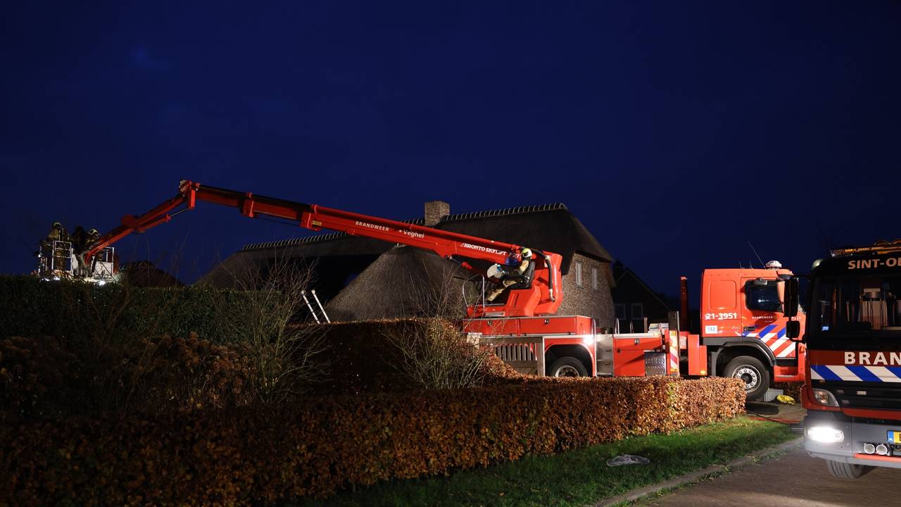 Enkele van de ingezette wagens (foto: Sander van Gils/SQ Vision).