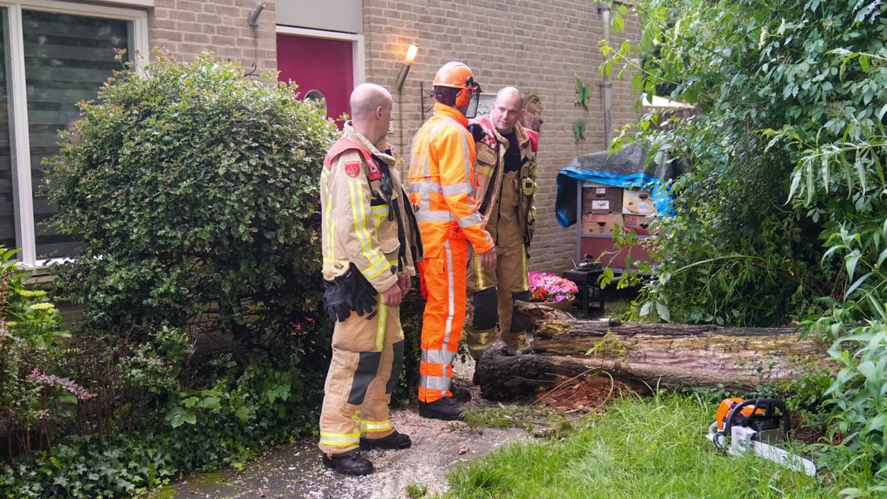 In Helmond viel een boom voor de voordeur van een huis (foto: Harrie Grijseels/SQ Vision).