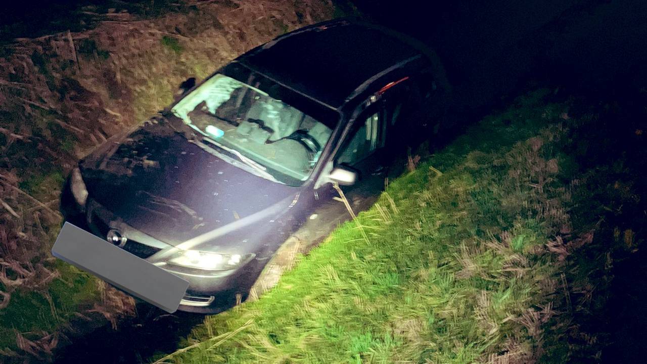 De auto belandde in een sloot naast de A50 bij Eerde (foto: X/weginspecteur Robert).