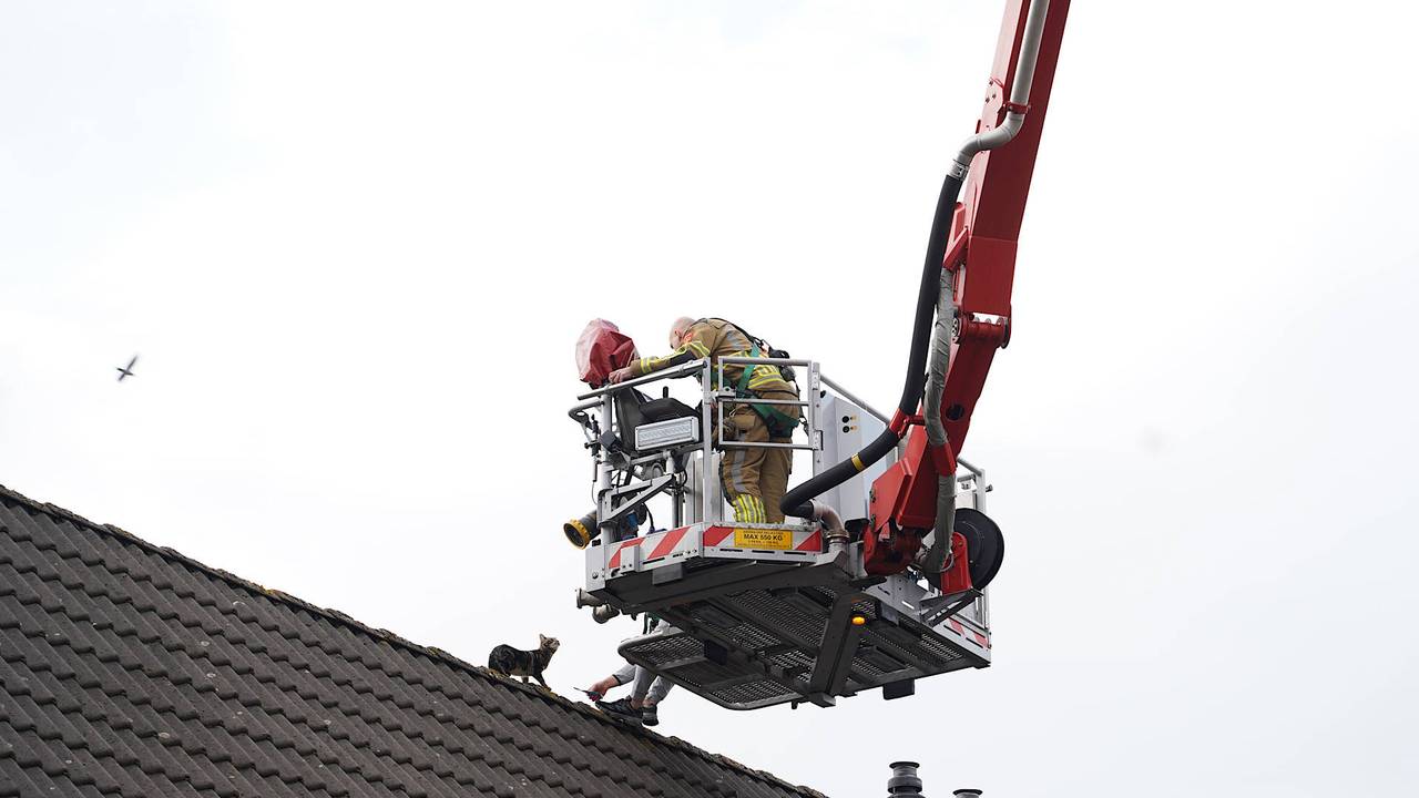 Foto: Jeroen Stuve/Persbureau Heitink.