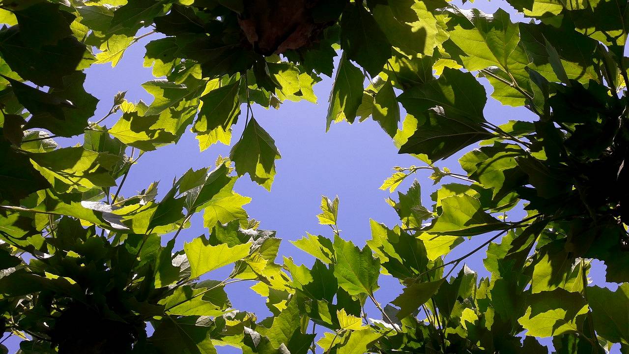 Foto: Anja Bastiaansen