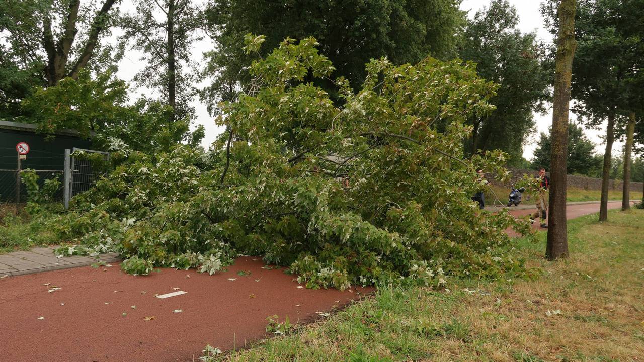 De tak versperde een voet- en fietspad (foto: Perry Roovers/Persbureau Heitink).