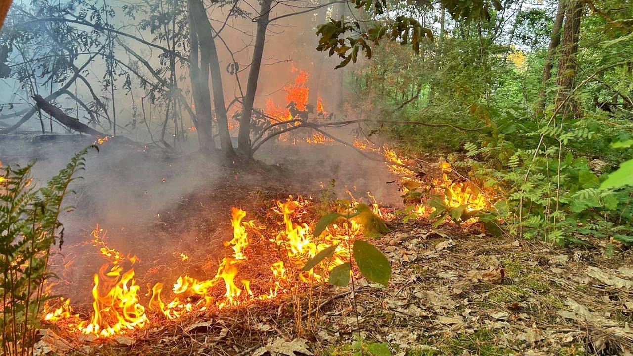 Vlammen aan de Heikantstaat in Waalre (foto: Rico Vogels/Persbureau Heitink)
