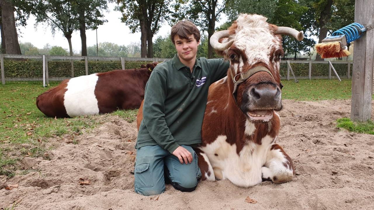Siem tussen de dieren op kinderboerderij Wolfslaar in Breda