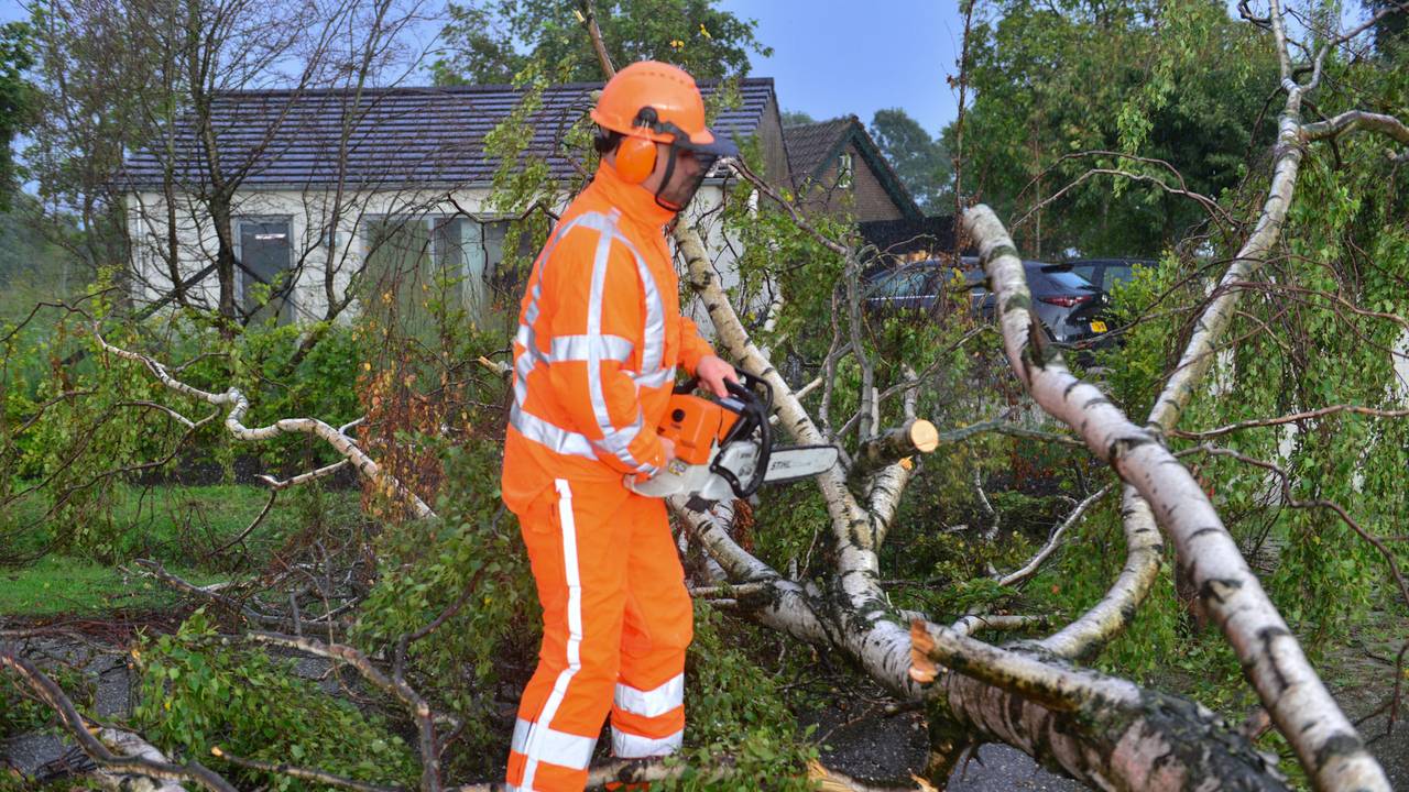 De omgevallen boom in Deurne wordt in mootjes gehakt (foto: Walter van Bussel/SQ Vision).