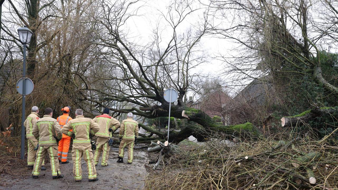 Brandweerlieden bekijken de schade (foto: Sander van Gils/SQ Vision).