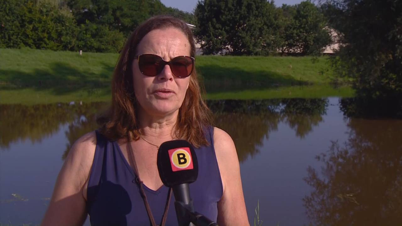 Hoogwater trekt veel bekijks in Boxmeer: 'Ik vind dit maar eng'
