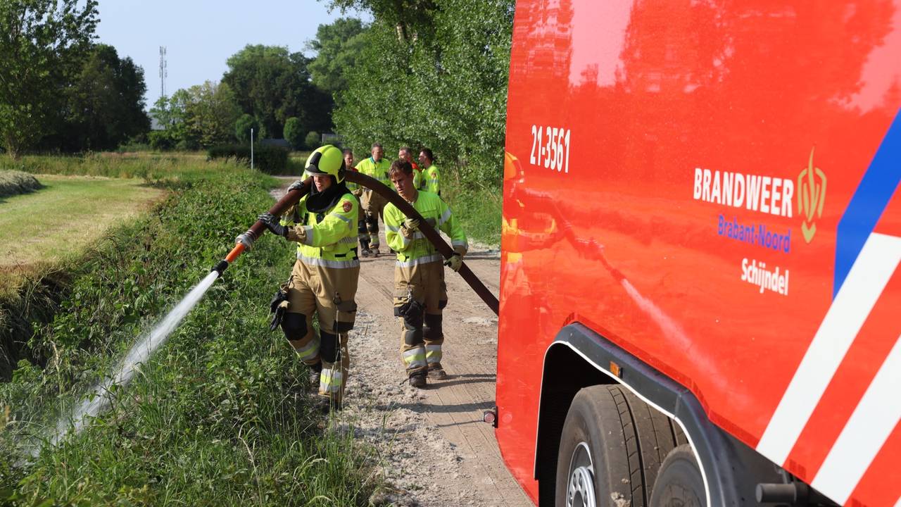 Foto: Sander van Gils/SQ Vision.