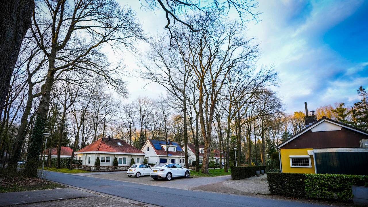 Het bosbrandje woedde vlakbij een grotendeels houten woonwijk in Eindhoven (foto: Persbureau Heitink).