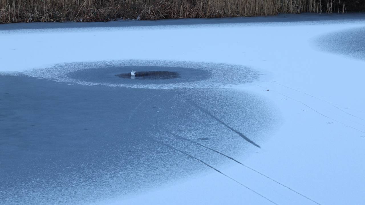 Het wak waar de helm werd gevonden (foto: Sander van Gils/SQ Vision).