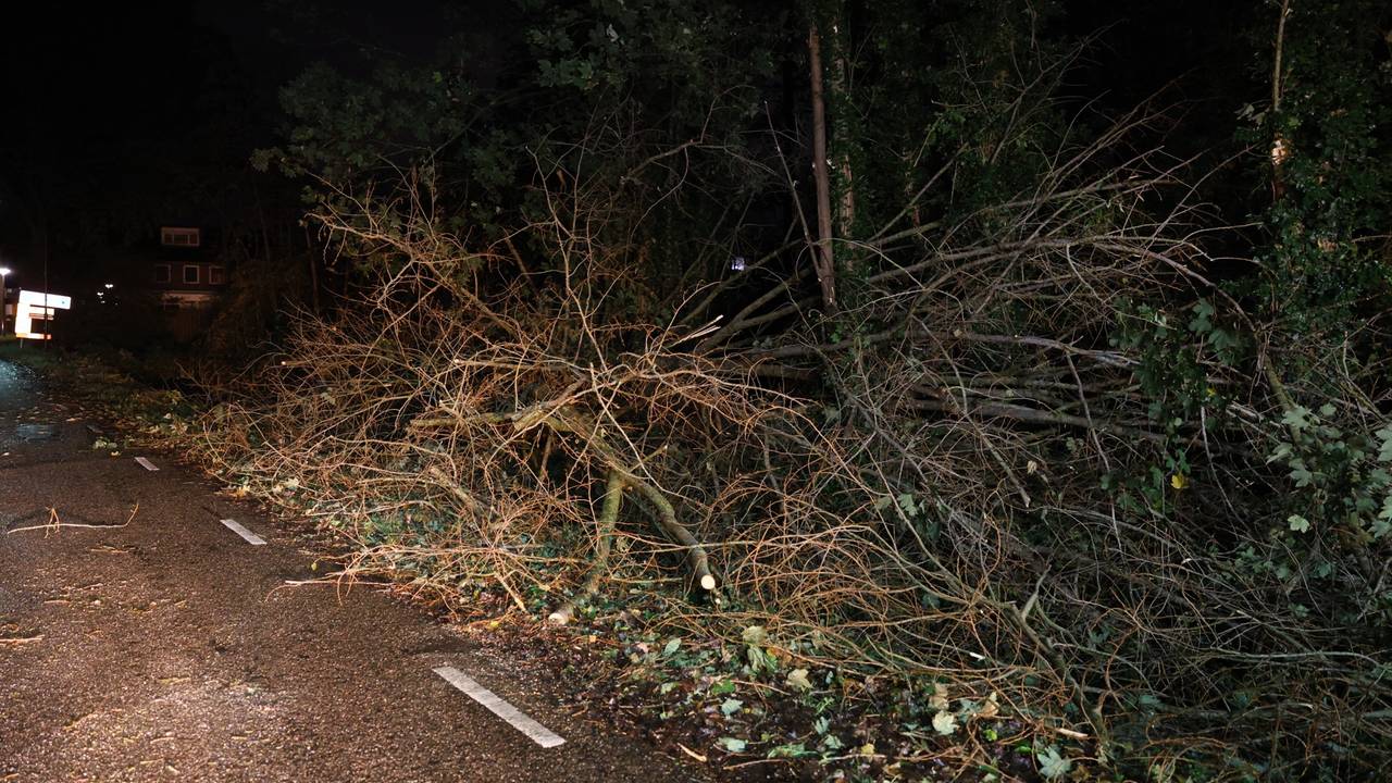 De tak werd in stukken gezaagd en in de berm gelegd (foto: Sander van Gils/SQ Vision).