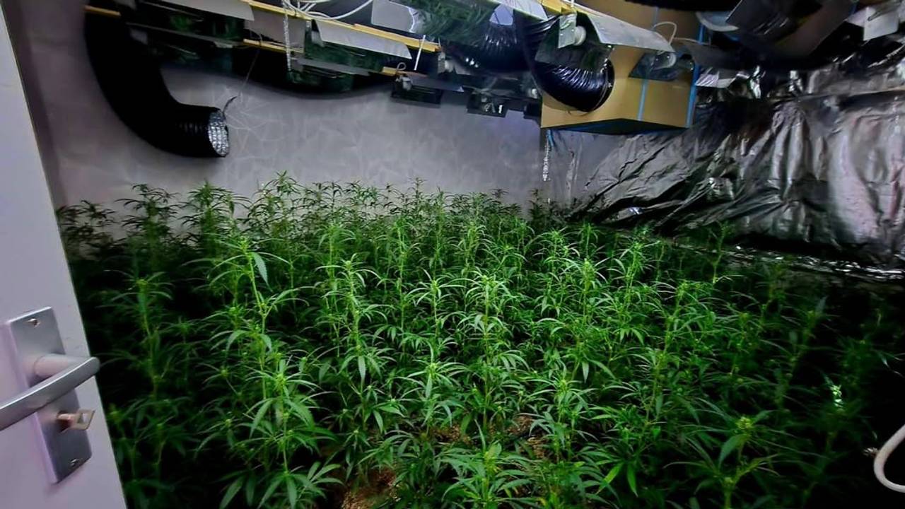 Foto: Instagram/politie_markdal. 