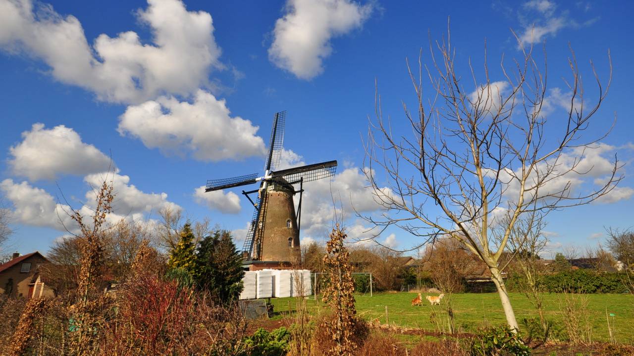 Archieffoto: Ben Saanen