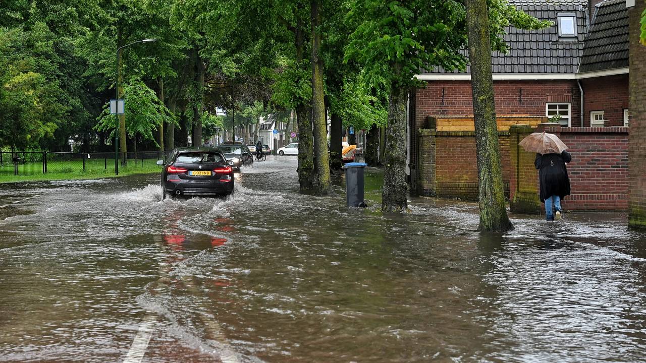 Foto: Toby de Kort / SQ Vision