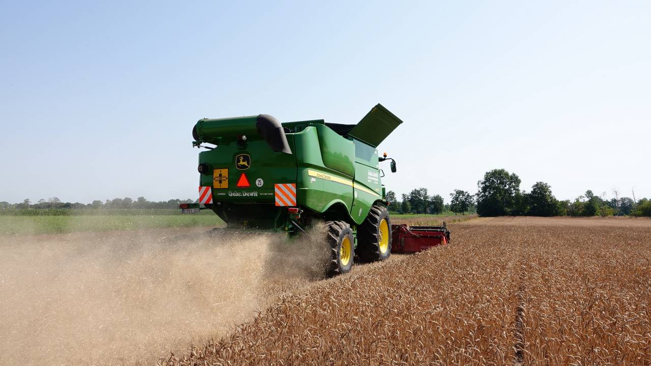 Graanoogst (Foto: Ben Saanen)