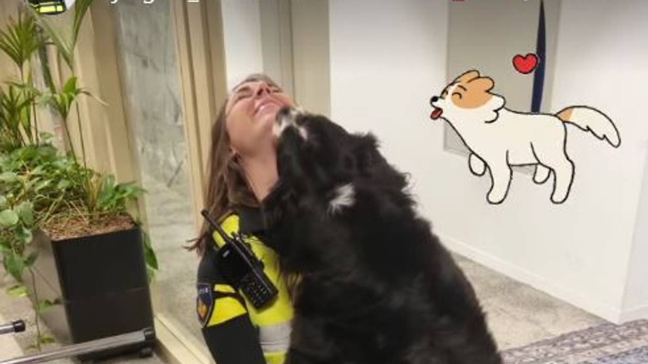 Foto: Instagram wijkagent Aarle-Rixtel