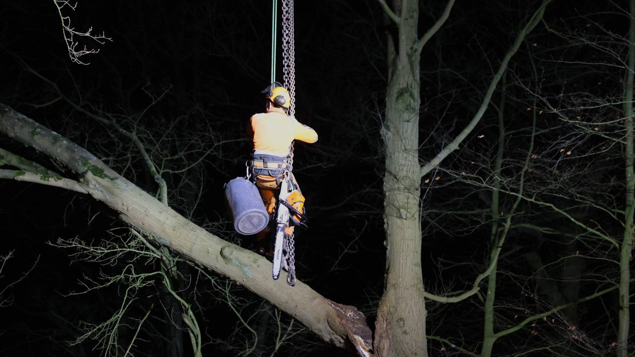 Foto: Sander van Gils / SQ Vision.