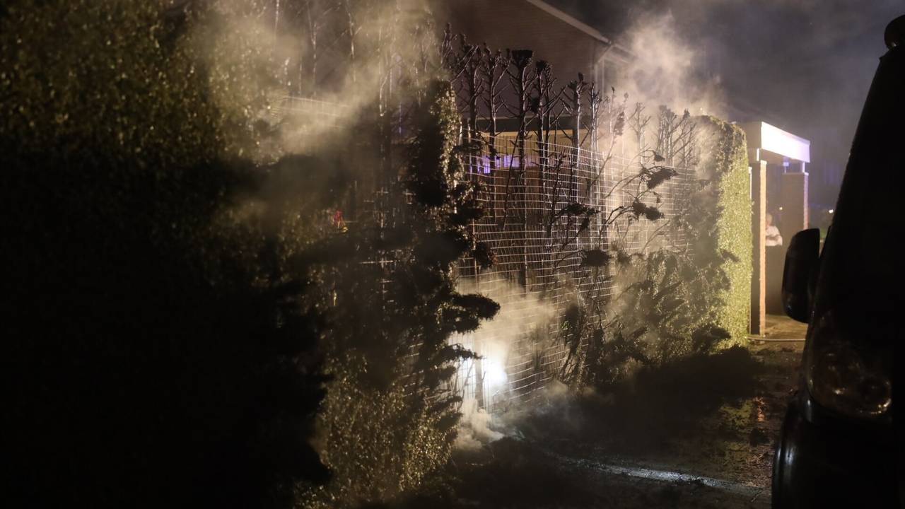 Foto: Sander van Gils/SQ Vision