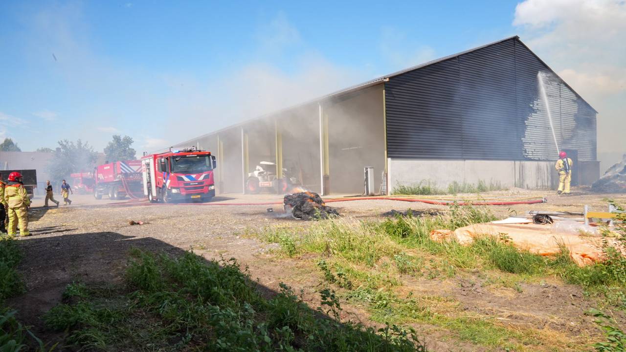 Foto: Harrie Grijseels/SQ Vision.