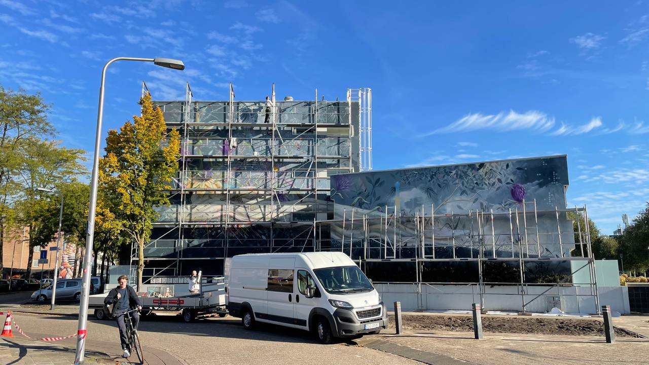 De muurschildering aan de Tjeuke Timmermansstraat moet weg (foto: Tom van den Oetelaar)