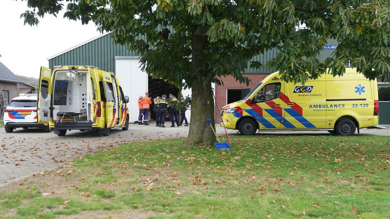 Foto: WdG / SQ Vision