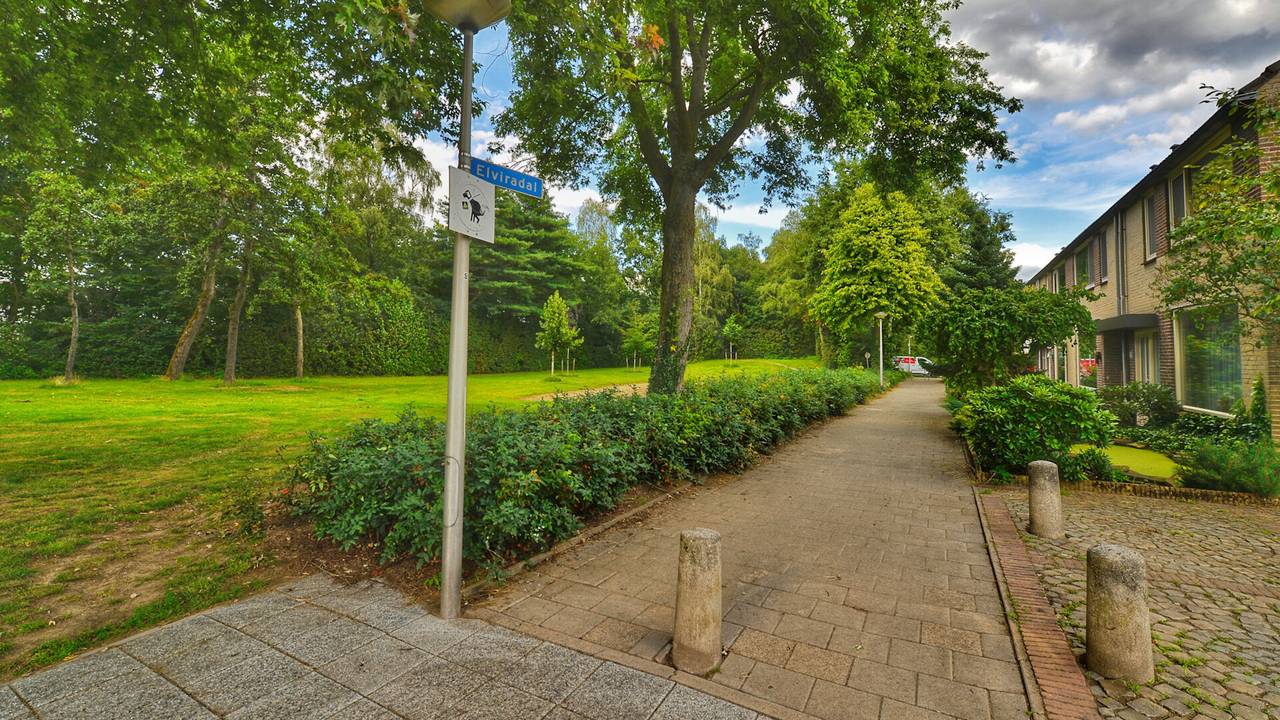 Foto: Rico Vogels, SQ Vision.