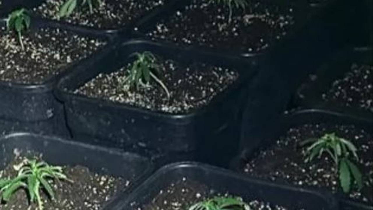 Foto: Instagram politie Boxtel-Vught-Gestel