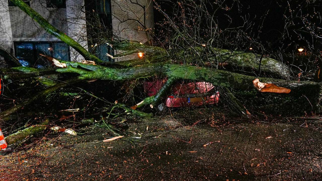 De boom belandde op vijf auto's in Beek en Donk (foto: Harrie Grijseels/SQ Vision).