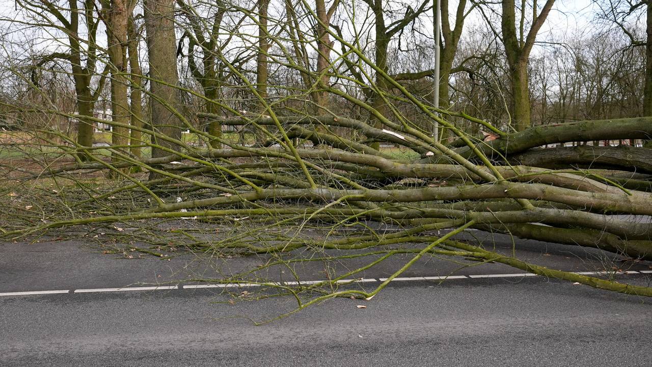 Storm Eunice houdt ook flink huis rond de Hescheweg  in Oss (foto: Gabor Heeres/SQ Vision).